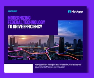Modernizing Federal Technology to Drive Efficiency